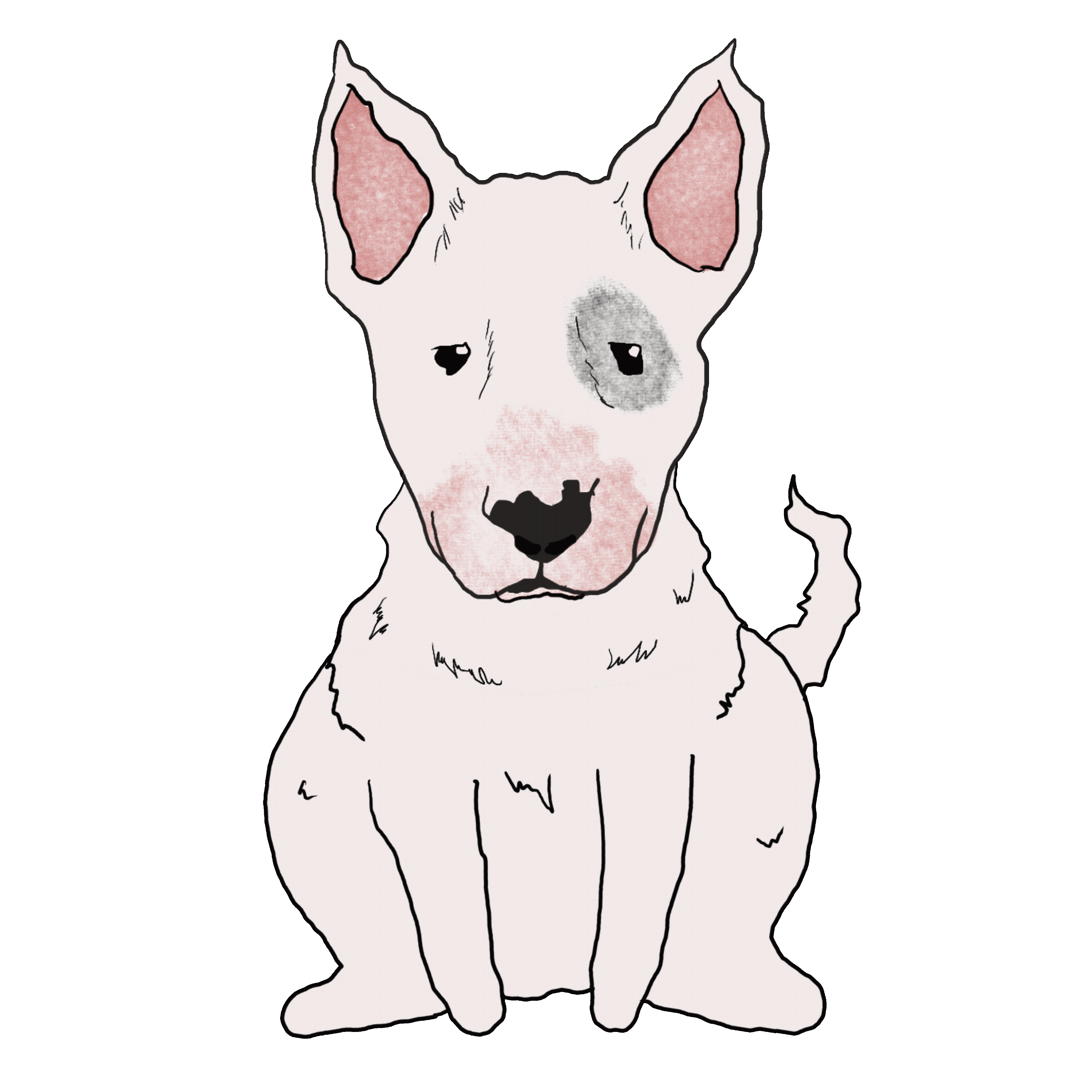 Charlie Bull Wagging Tail