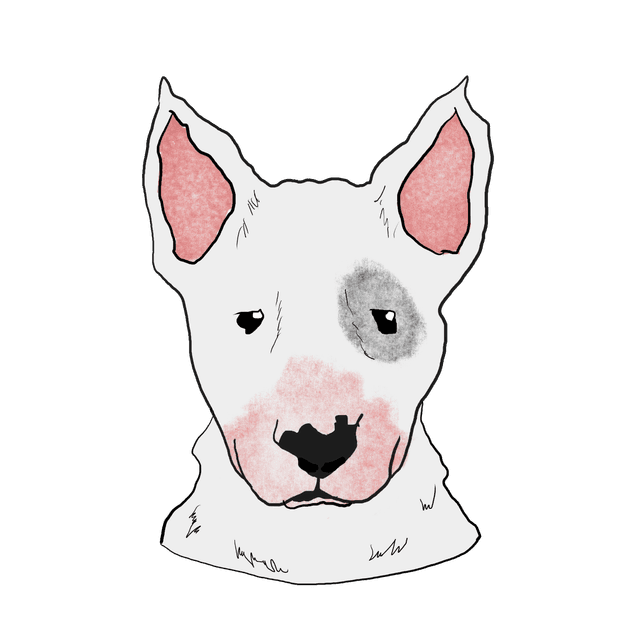 Charlie Bull Headshot